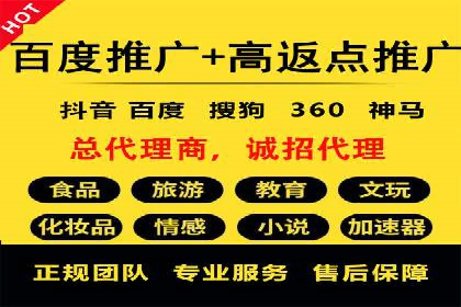 某公司信息流广告投放成功案例分析